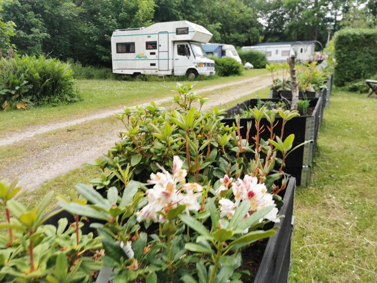 Frederiksvaerk Camping & Hostel Eksteriør bilde