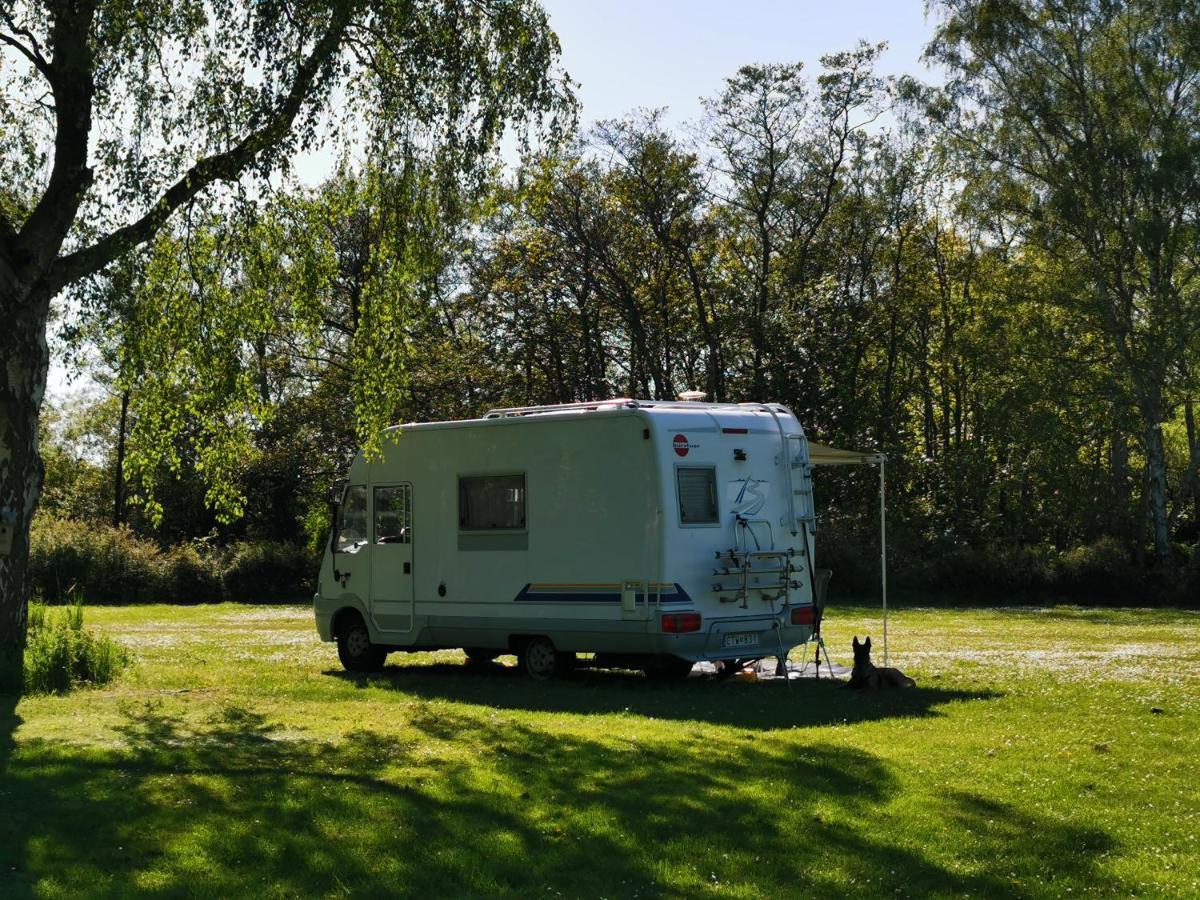 Frederiksvaerk Camping & Hostel Eksteriør bilde