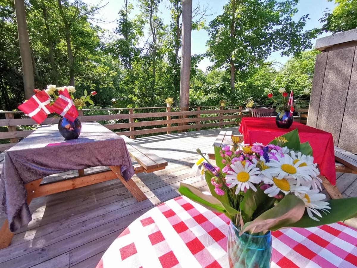 Frederiksvaerk Camping & Hostel Eksteriør bilde