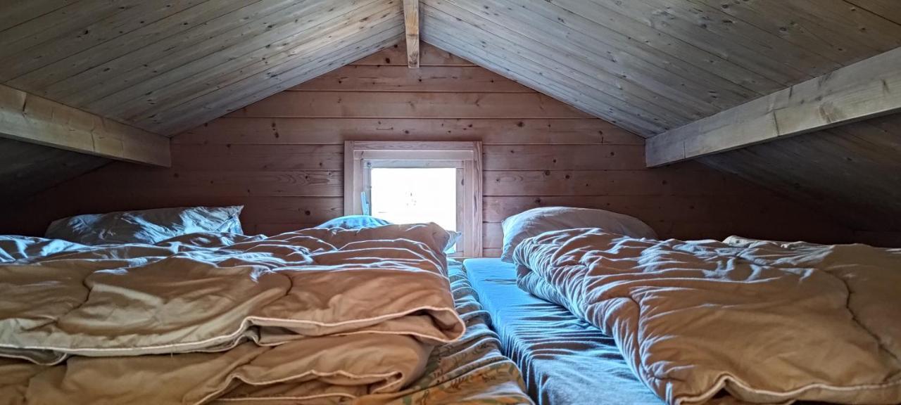 Frederiksvaerk Camping & Hostel Eksteriør bilde